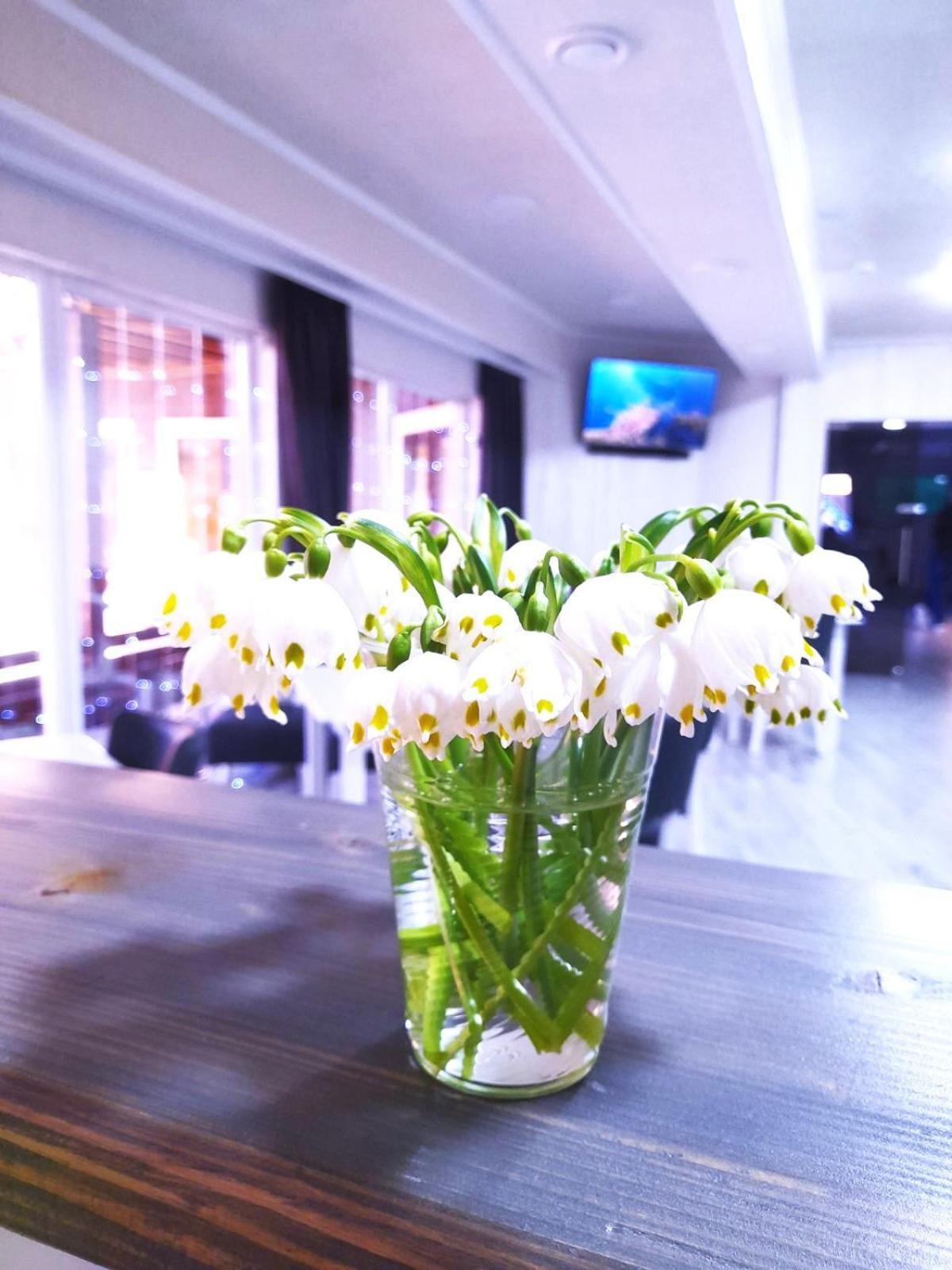 Four Seasons In Carpathians Hotel Мигово Екстериор снимка
